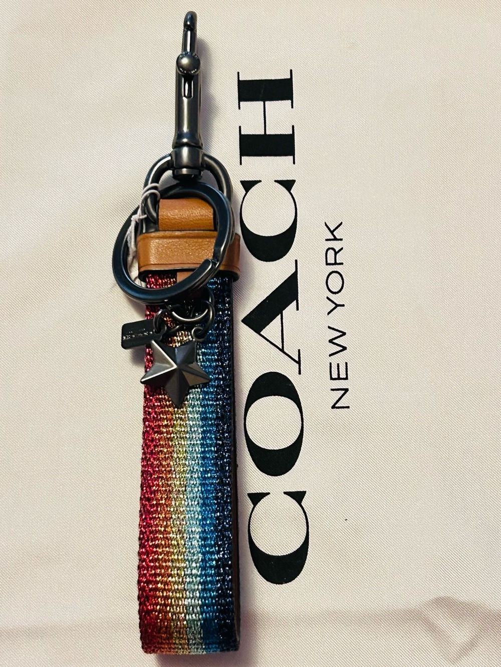 RARE Coach Rainbow and Star Loop Keychain/ Bag Charm